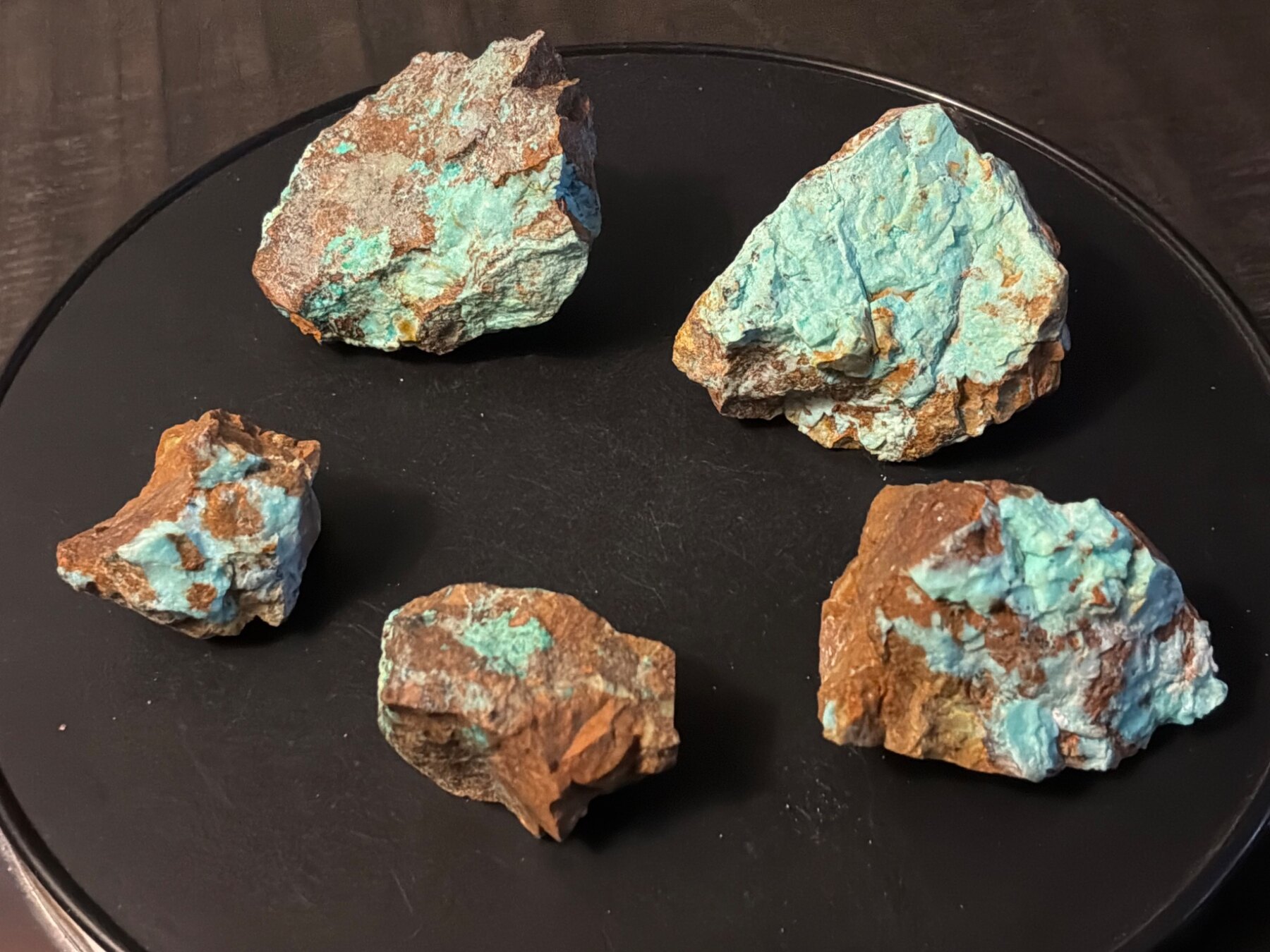 Five possible chrysocolla specimens in an iron-rich gossan and jasperoid matrix on a black background